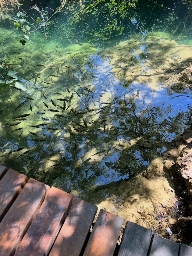 Croatia