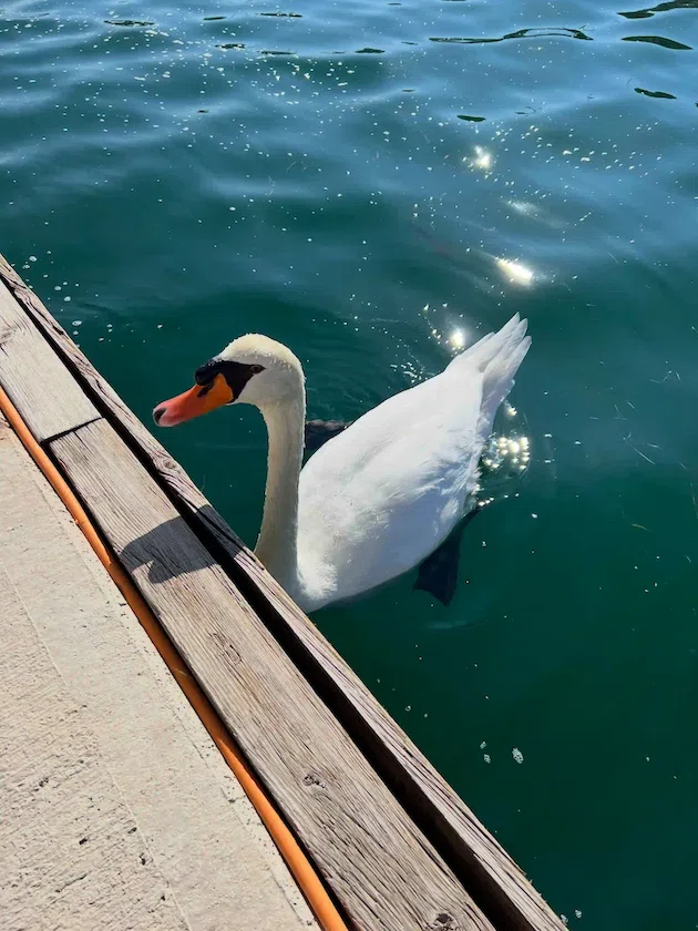Croatia